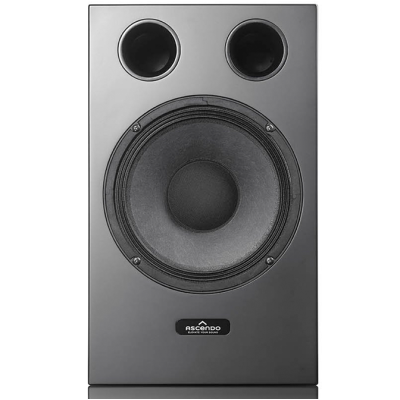 Ascendo 10" Coax Passive Monitor on Wall Speaker - Black (Single)